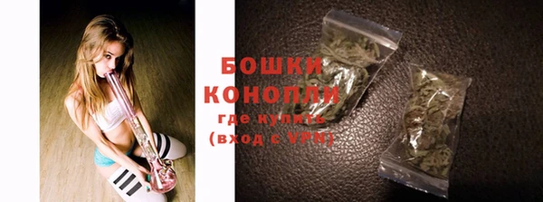гашик Покровск