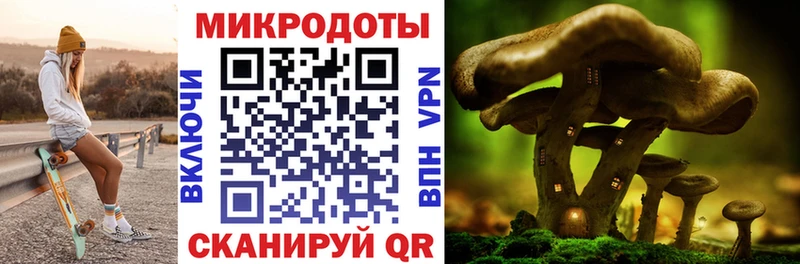 blacksprut сайт как найти закладки Астрахань Псилоцибиновые грибы мицелий