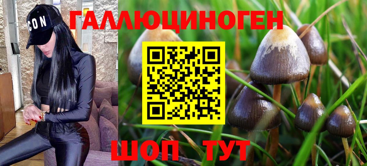 Псилоцибиновые грибы ЛСД Астрахань