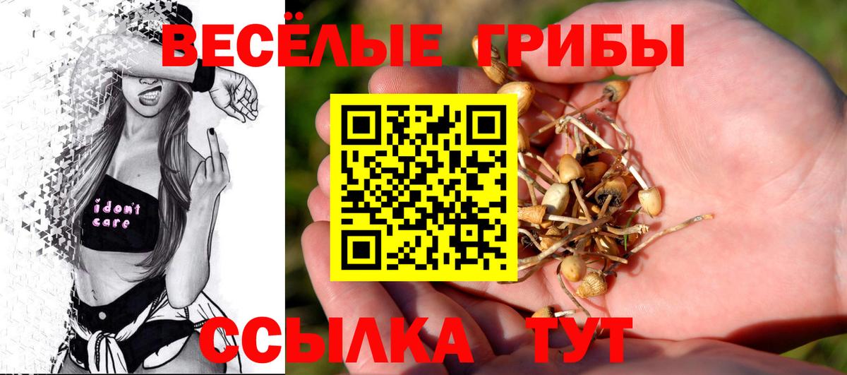 Астрахань  Галлюциногенные грибы прущие грибы  Галлюциногенные грибы GOLDEN TEACHER  Вход с VPN 